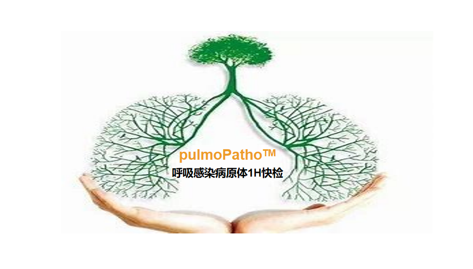 pulmoPatho，呼吸感染病原谱